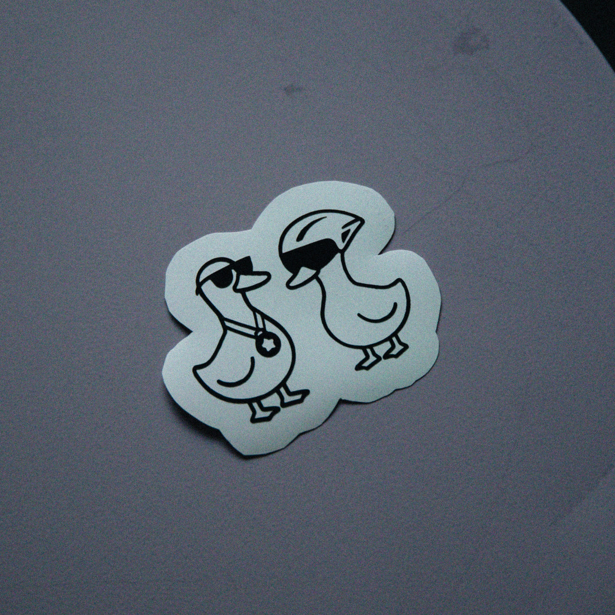 Auf dem Foto sieht man den Sticker Set "RACE GEESE" in der Farbe schwarz.